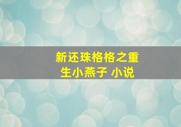 新还珠格格之重生小燕子 小说